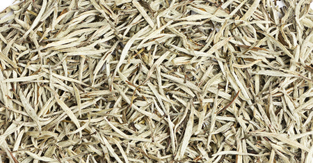 White Tea Extract
